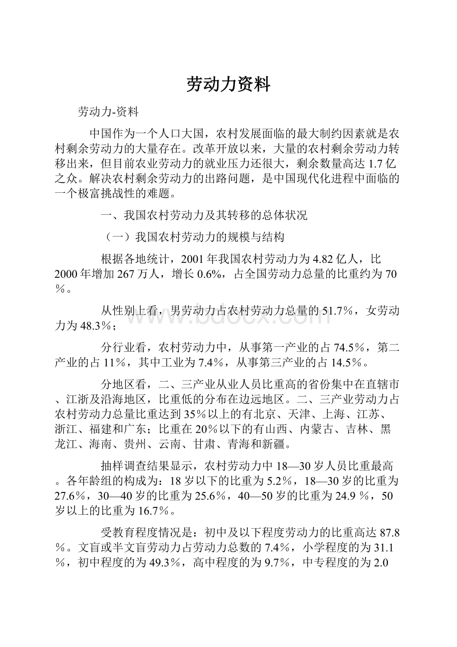 劳动力资料Word格式文档下载.docx_第1页