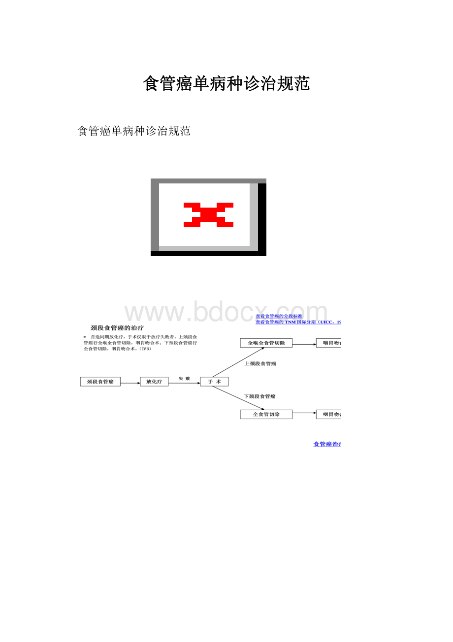 食管癌单病种诊治规范.docx_第1页