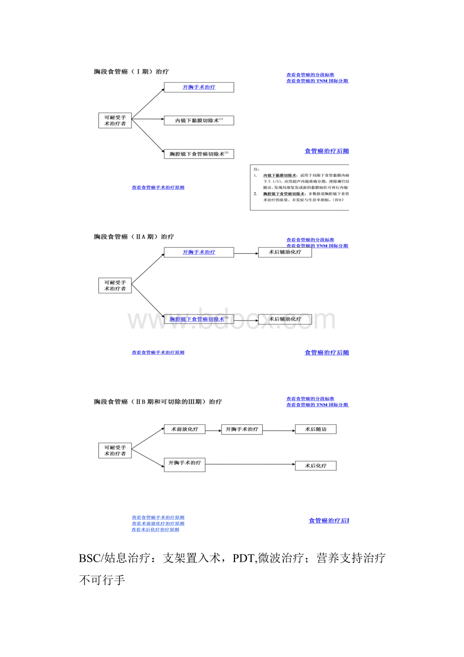 食管癌单病种诊治规范.docx_第2页