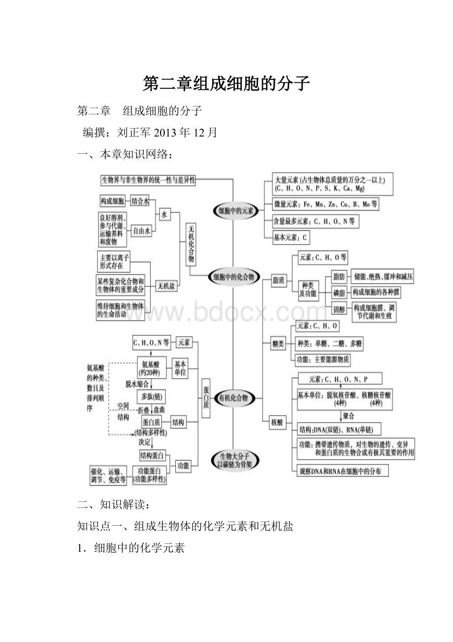 第二章组成细胞的分子Word格式文档下载.docx