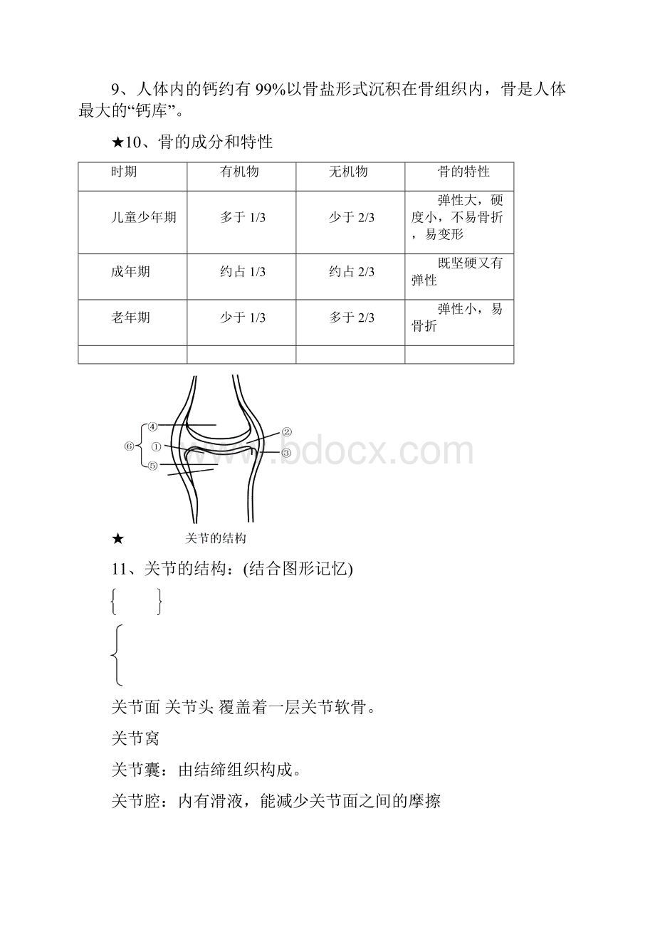 北师大版八年级上册生物学复习提纲.docx_第3页