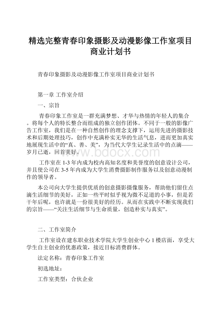 精选完整青春印象摄影及动漫影像工作室项目商业计划书Word格式文档下载.docx_第1页