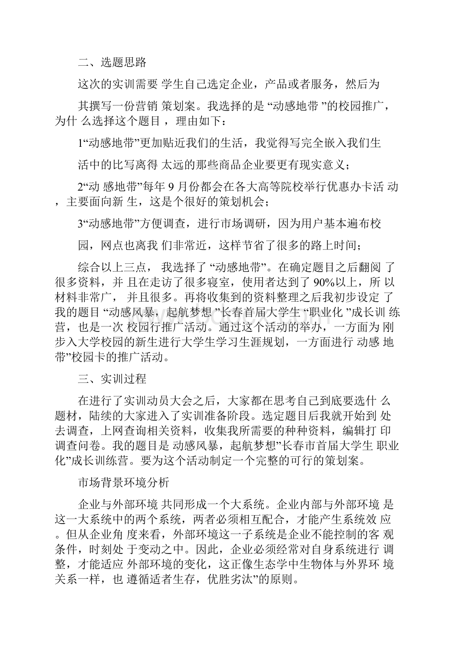 营销与策划实训报告.docx_第2页