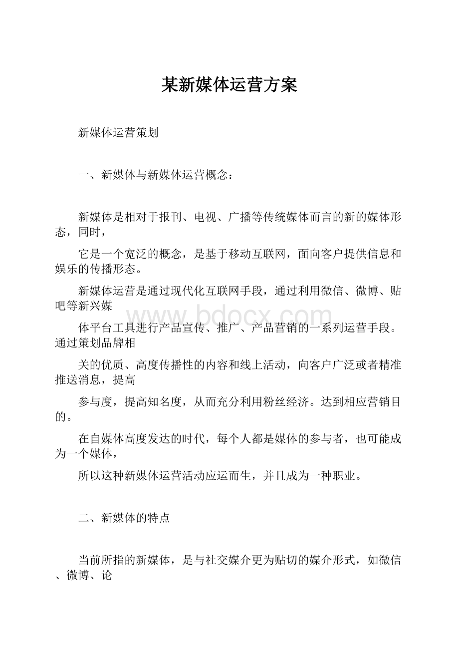 某新媒体运营方案文档格式.docx