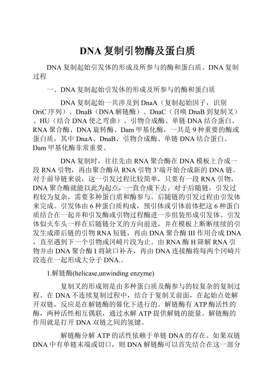 DNA复制引物酶及蛋白质.docx