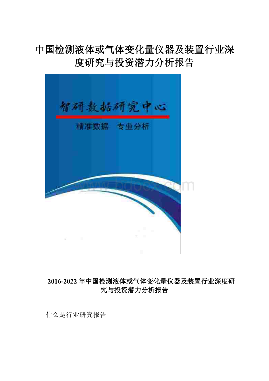 中国检测液体或气体变化量仪器及装置行业深度研究与投资潜力分析报告Word下载.docx