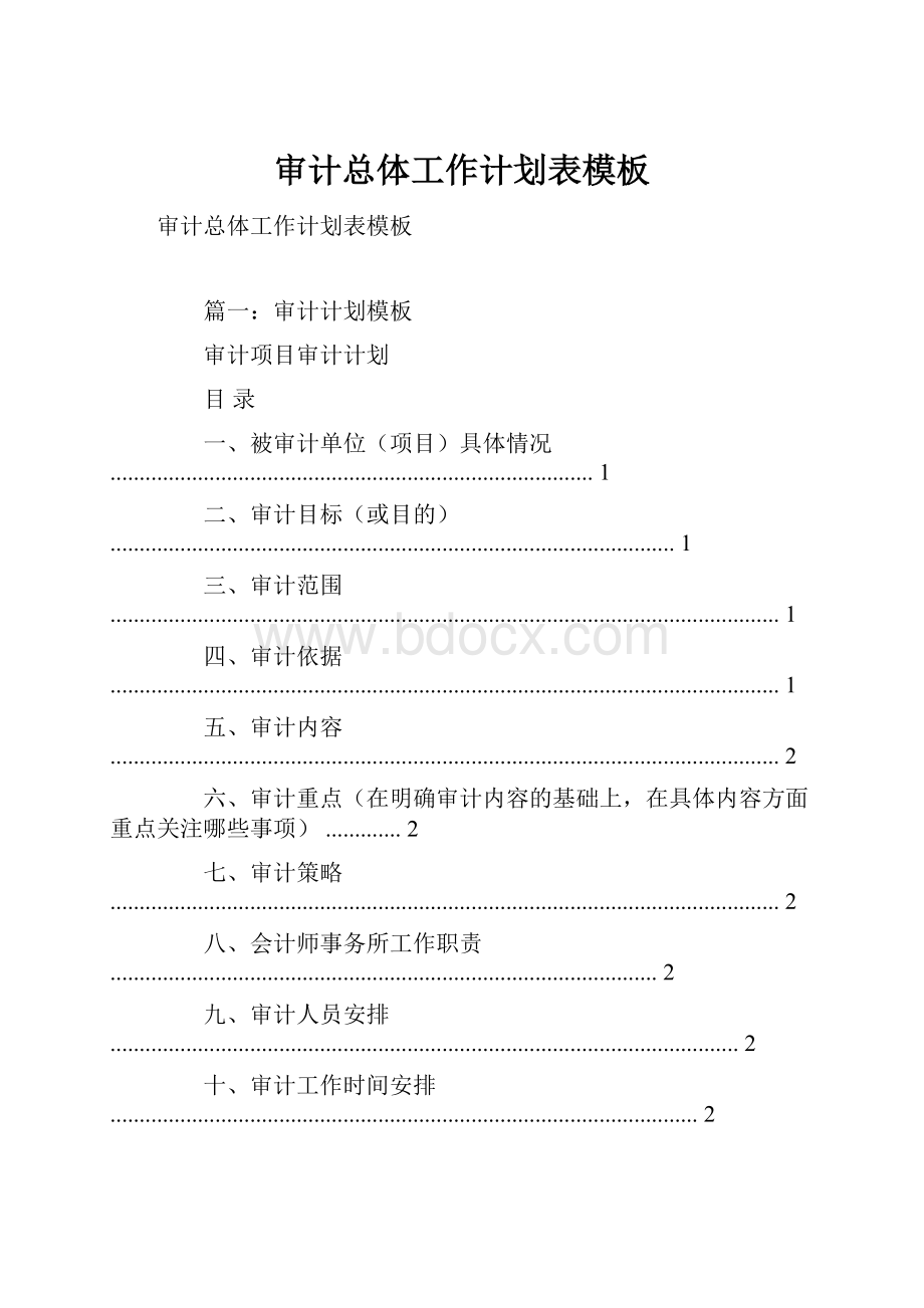 审计总体工作计划表模板Word文件下载.docx