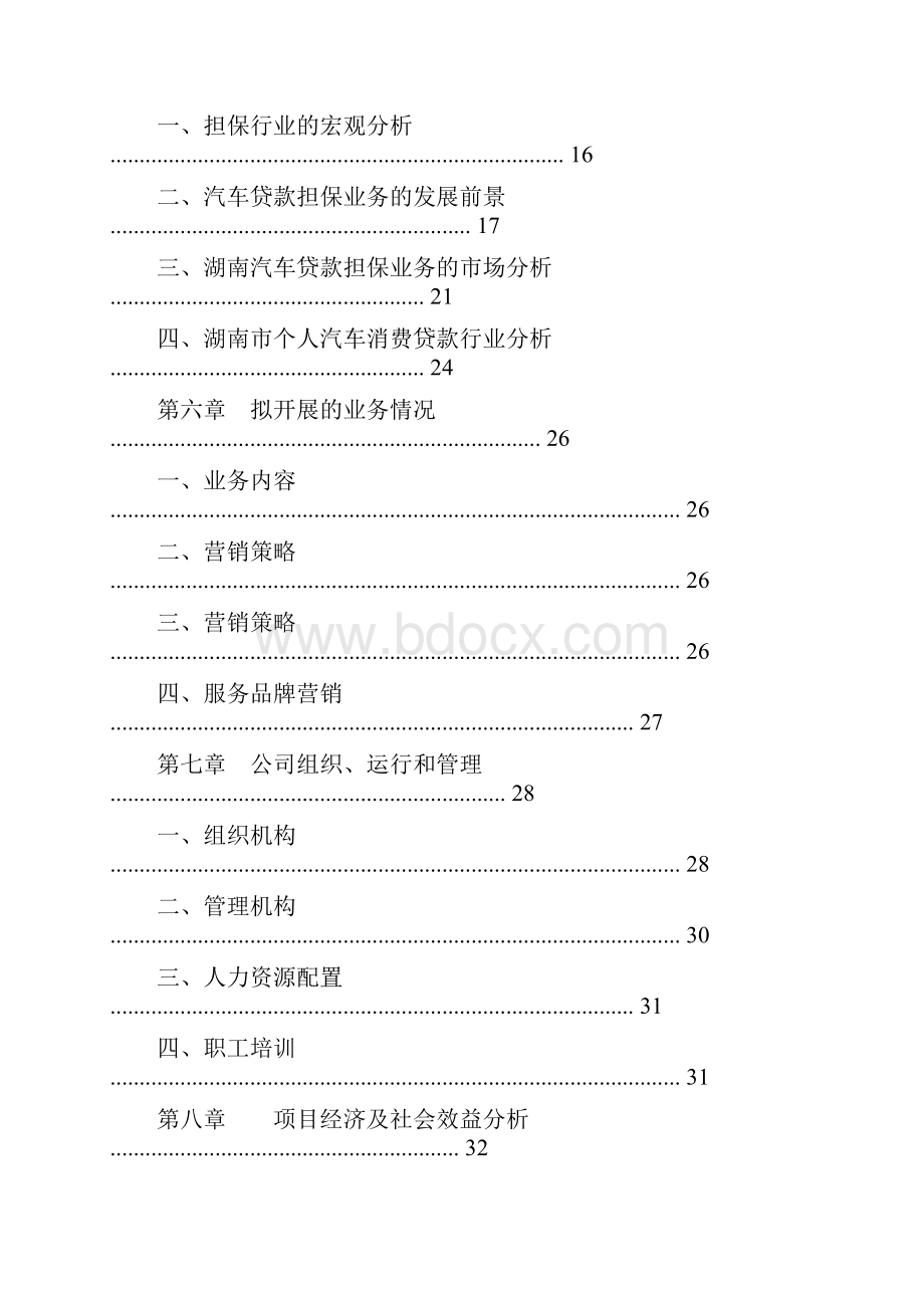 个人汽车消费贷款担保项目可行性研究报告Word格式.docx_第2页