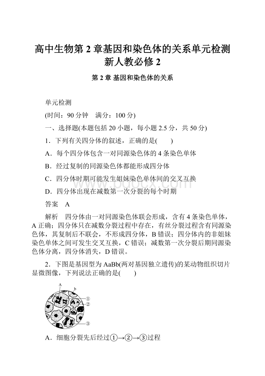 高中生物第2章基因和染色体的关系单元检测新人教必修2文档格式.docx