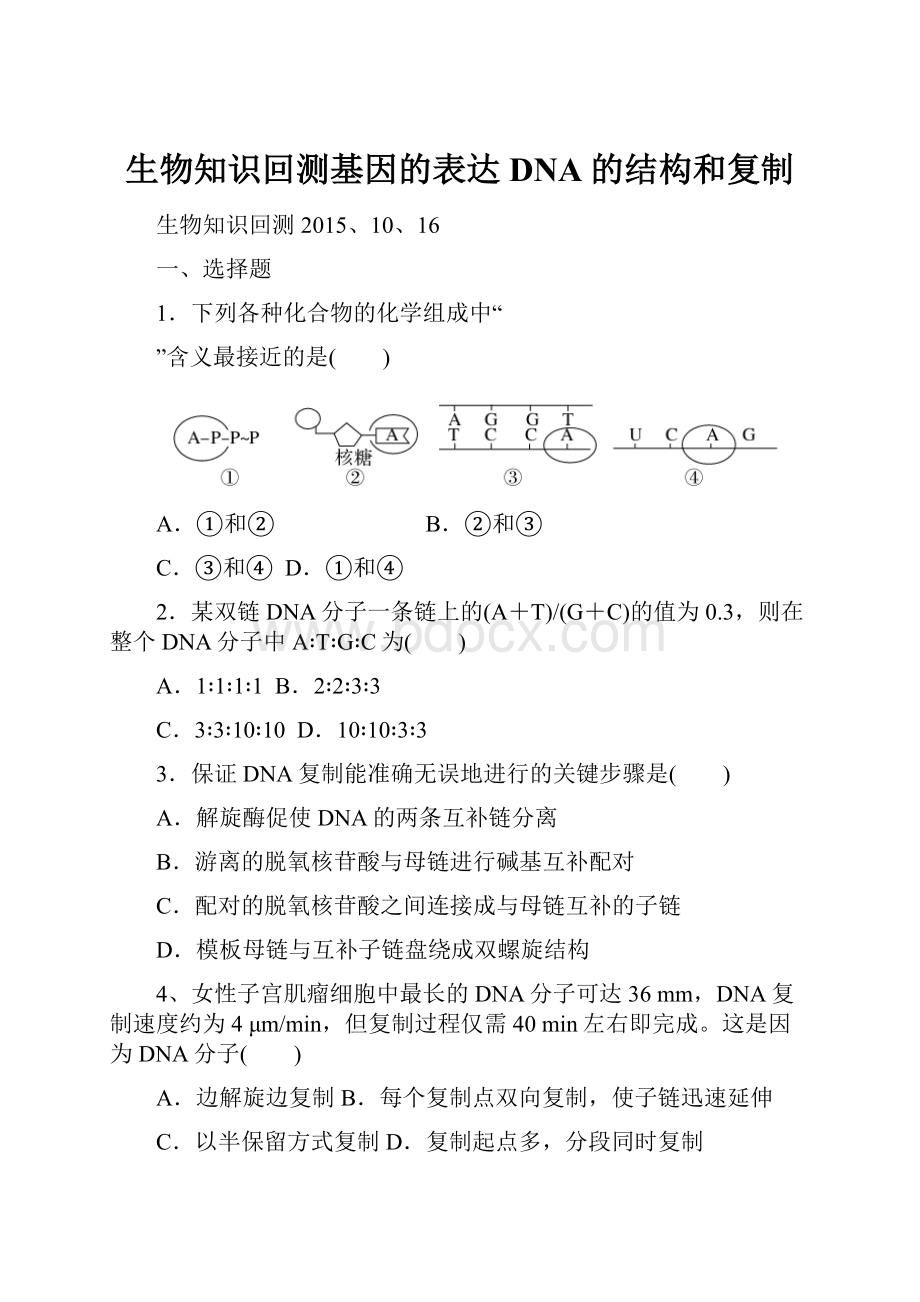 生物知识回测基因的表达DNA的结构和复制Word文件下载.docx