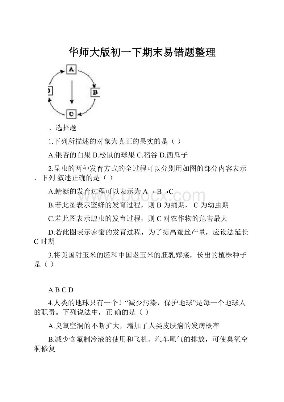 华师大版初一下期末易错题整理.docx_第1页