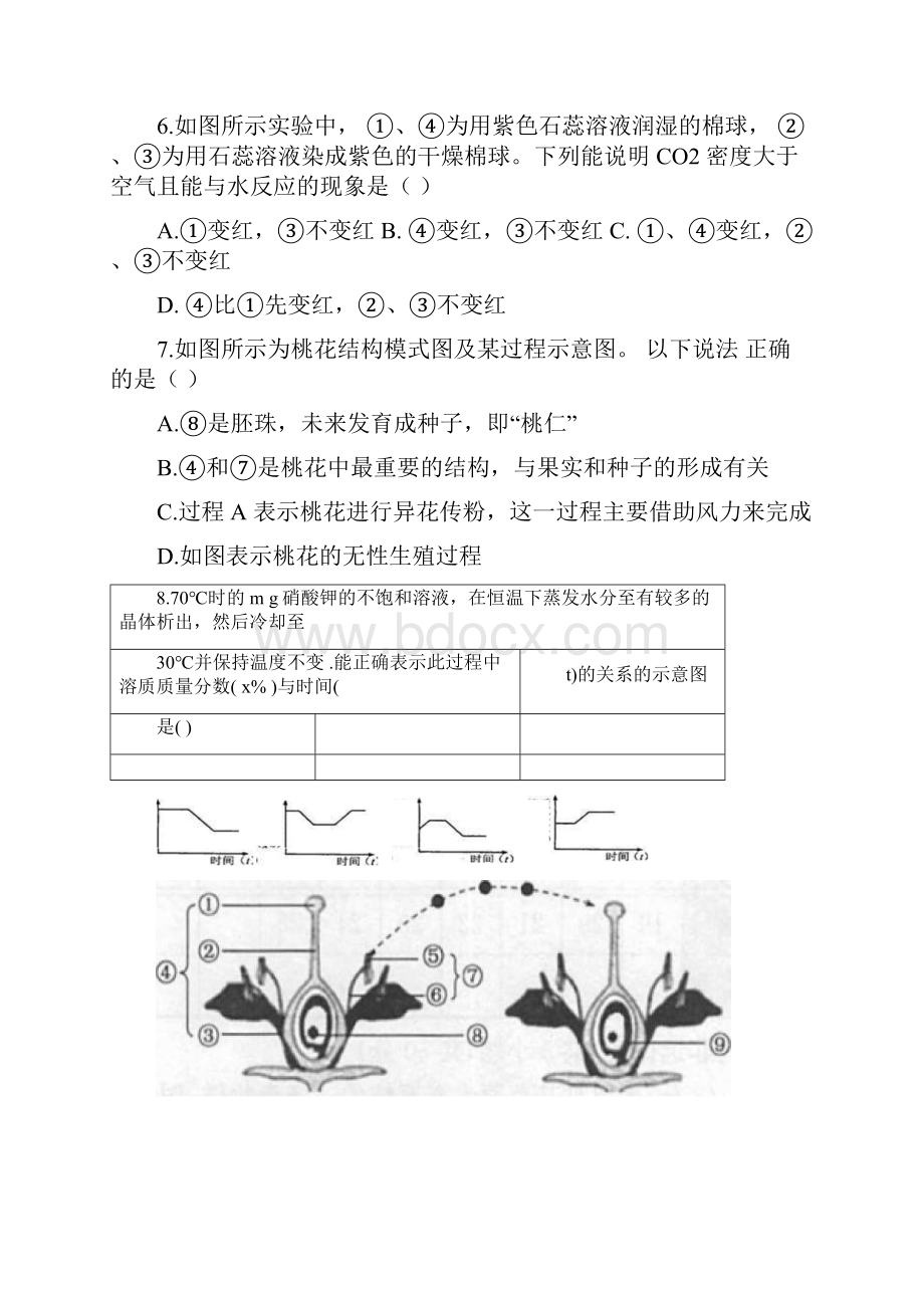 华师大版初一下期末易错题整理.docx_第3页