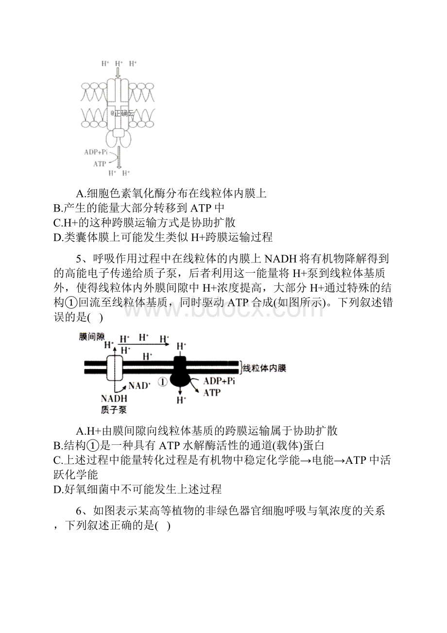 高考生物总复习同步练习细胞呼吸Word文档下载推荐.docx_第2页