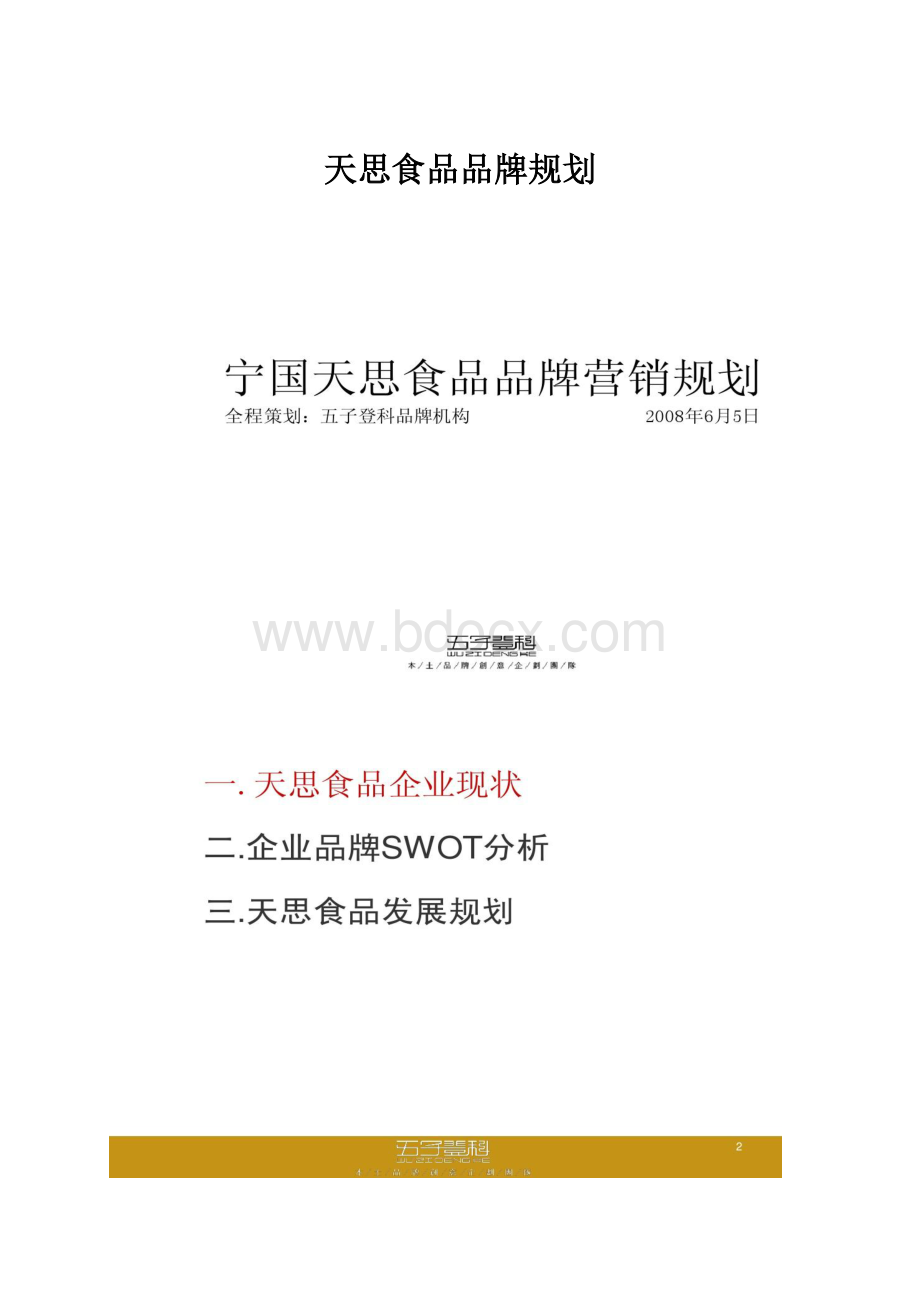 天思食品品牌规划.docx_第1页