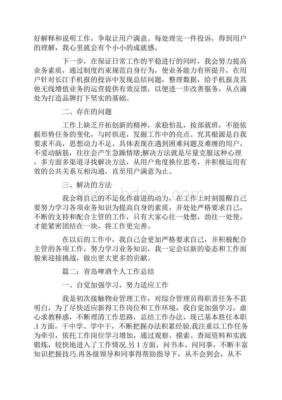 青岛啤酒个人工作总结.docx_第2页