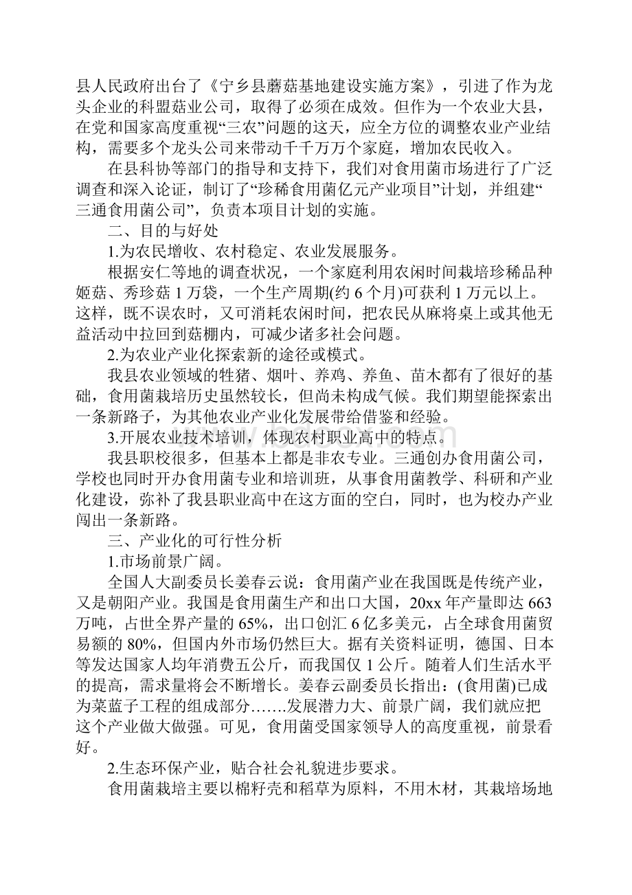 项目计划书范文.docx_第3页