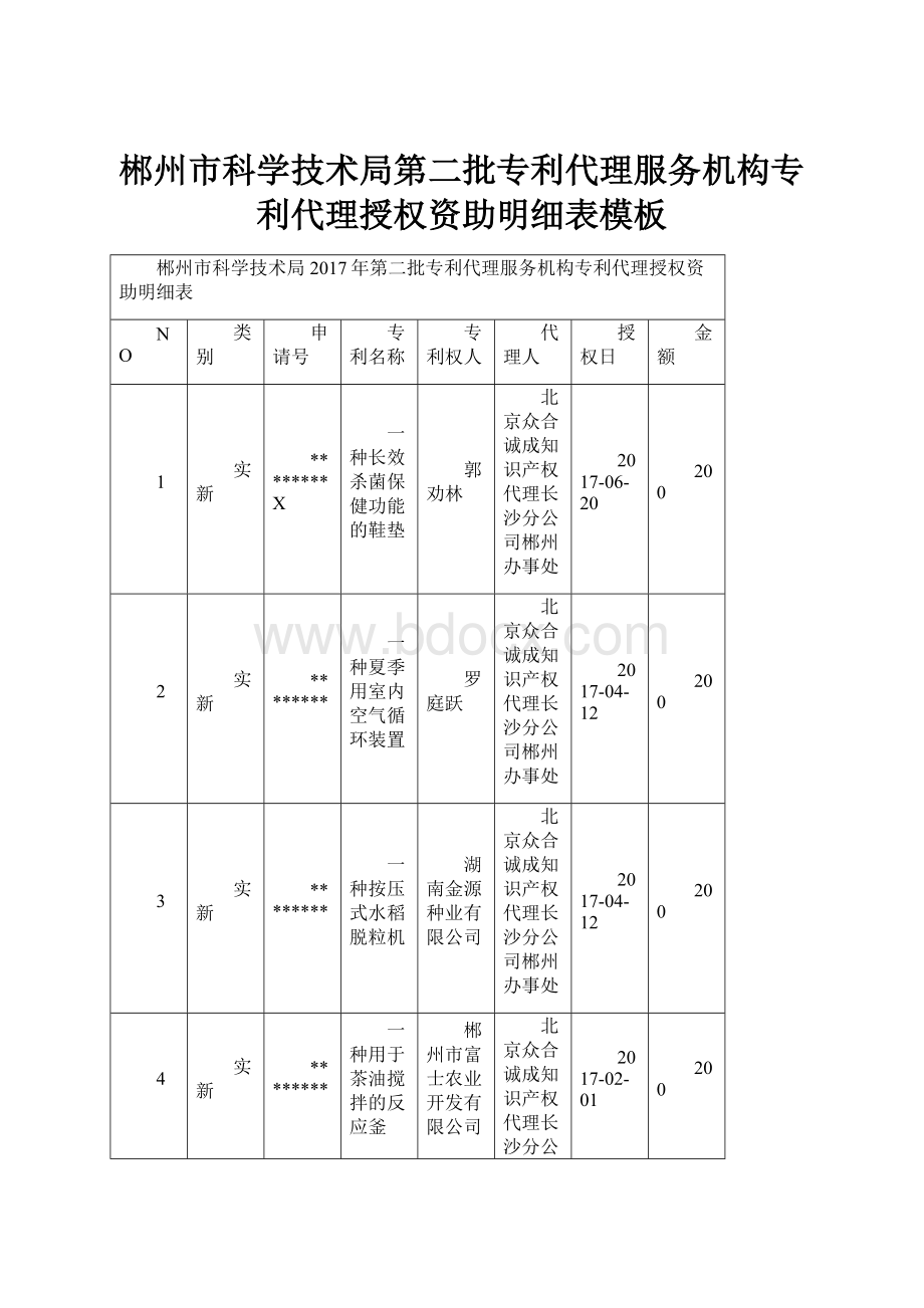 郴州市科学技术局第二批专利代理服务机构专利代理授权资助明细表模板.docx