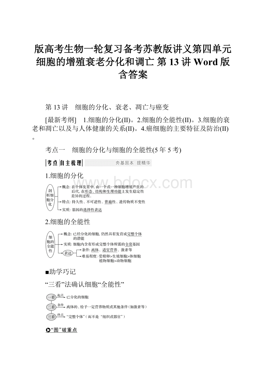 版高考生物一轮复习备考苏教版讲义第四单元 细胞的增殖衰老分化和调亡 第13讲 Word版含答案.docx_第1页