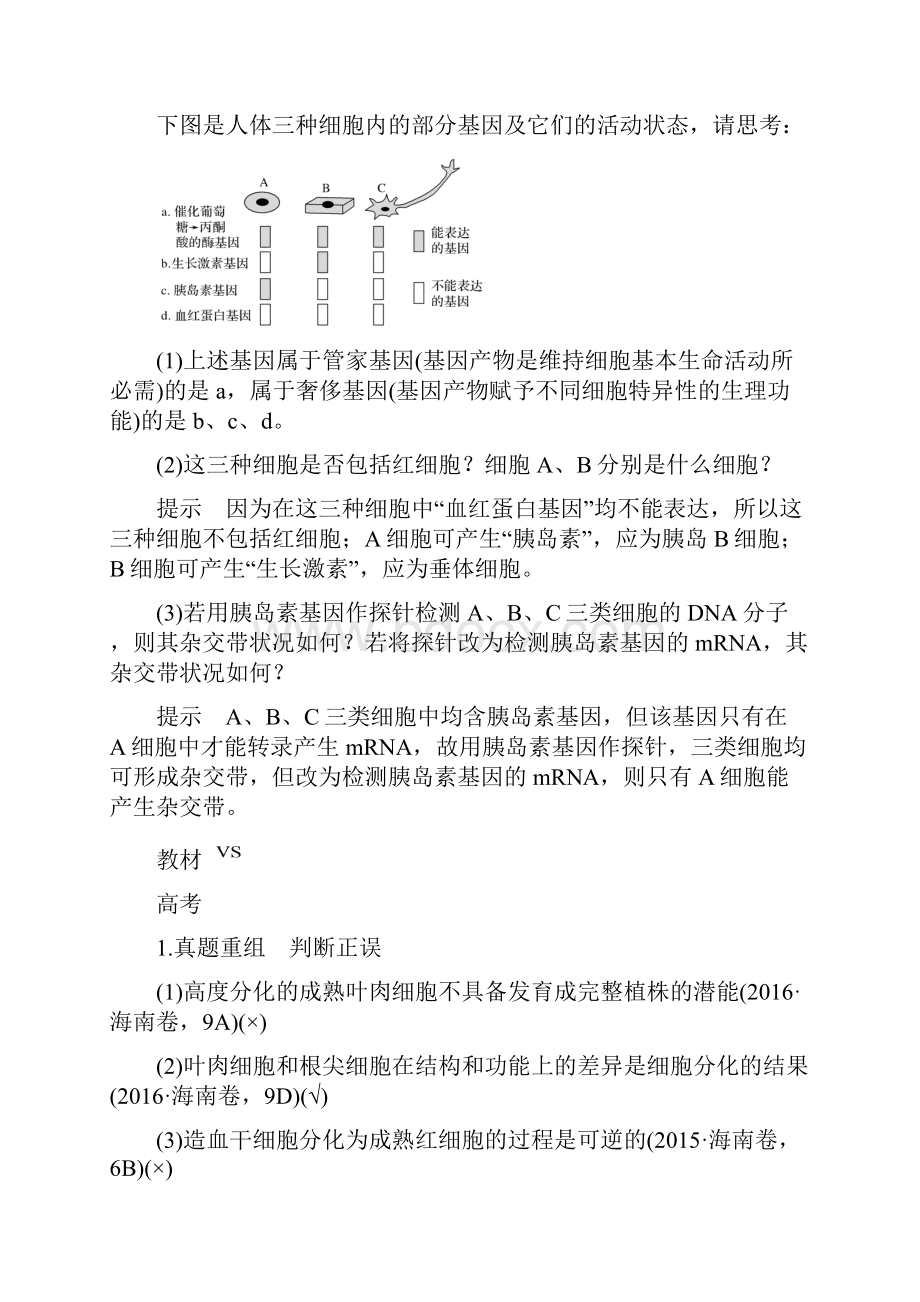 版高考生物一轮复习备考苏教版讲义第四单元 细胞的增殖衰老分化和调亡 第13讲 Word版含答案.docx_第2页