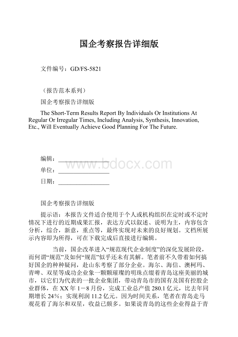 国企考察报告详细版Word格式文档下载.docx