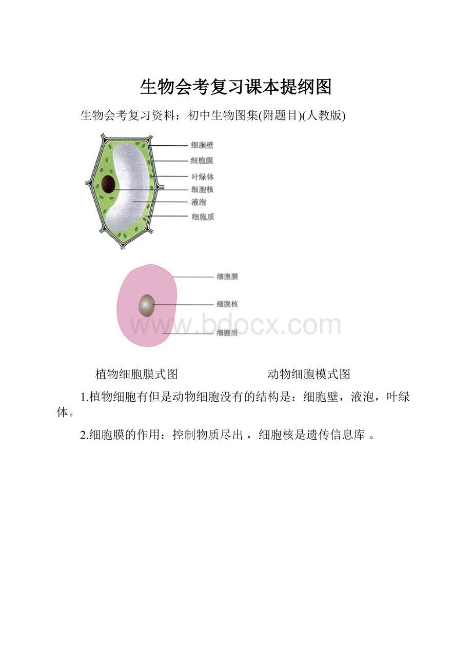 生物会考复习课本提纲图.docx_第1页