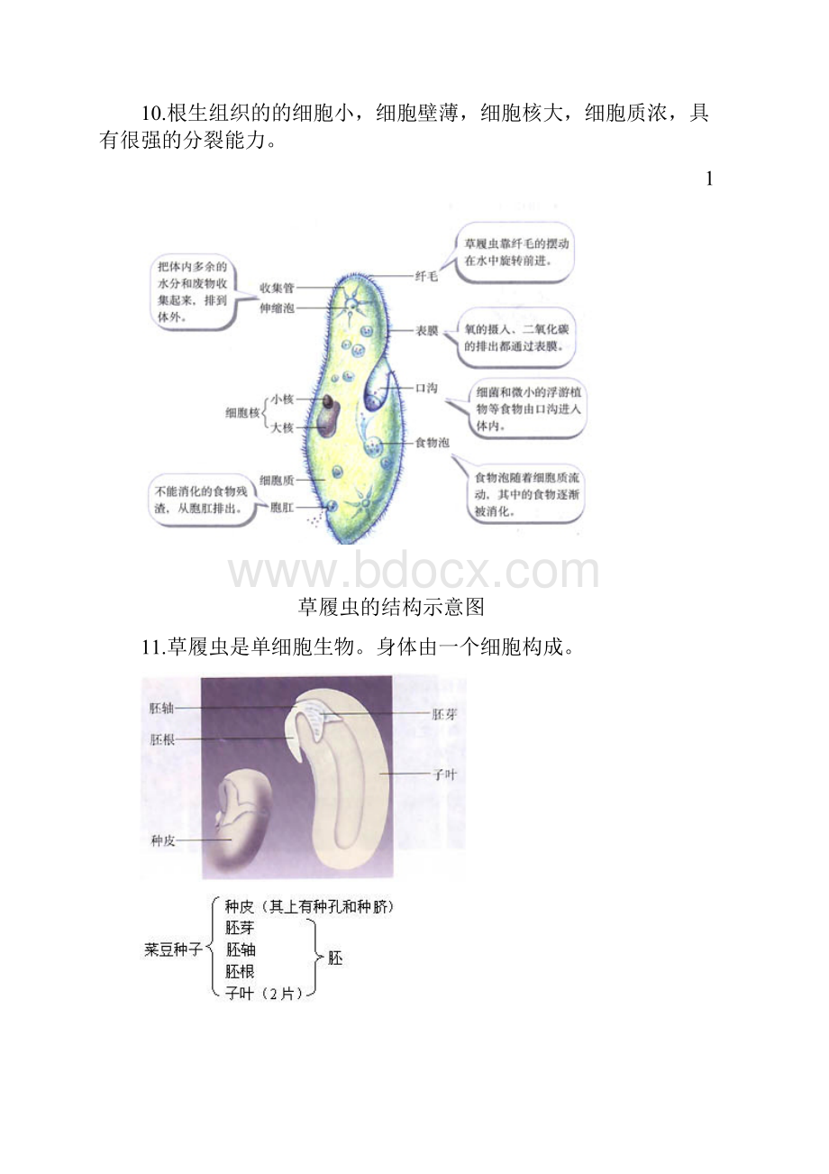 生物会考复习课本提纲图.docx_第3页