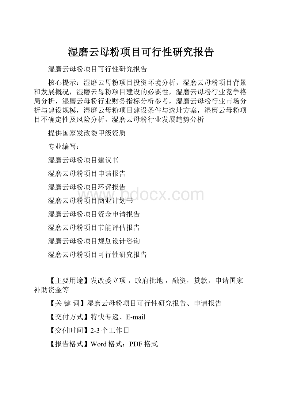 湿磨云母粉项目可行性研究报告Word文件下载.docx