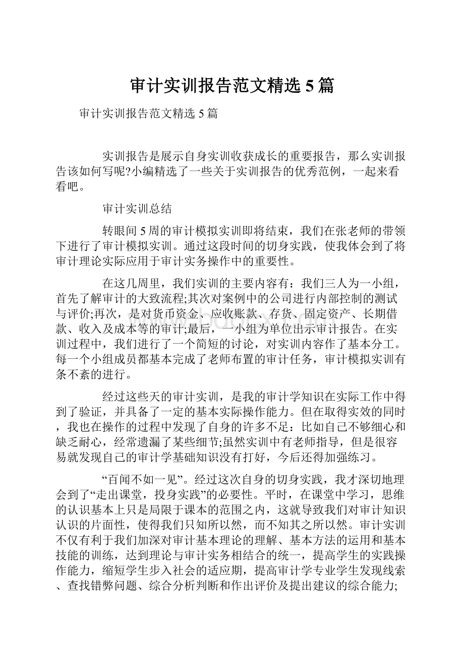 审计实训报告范文精选5篇文档格式.docx