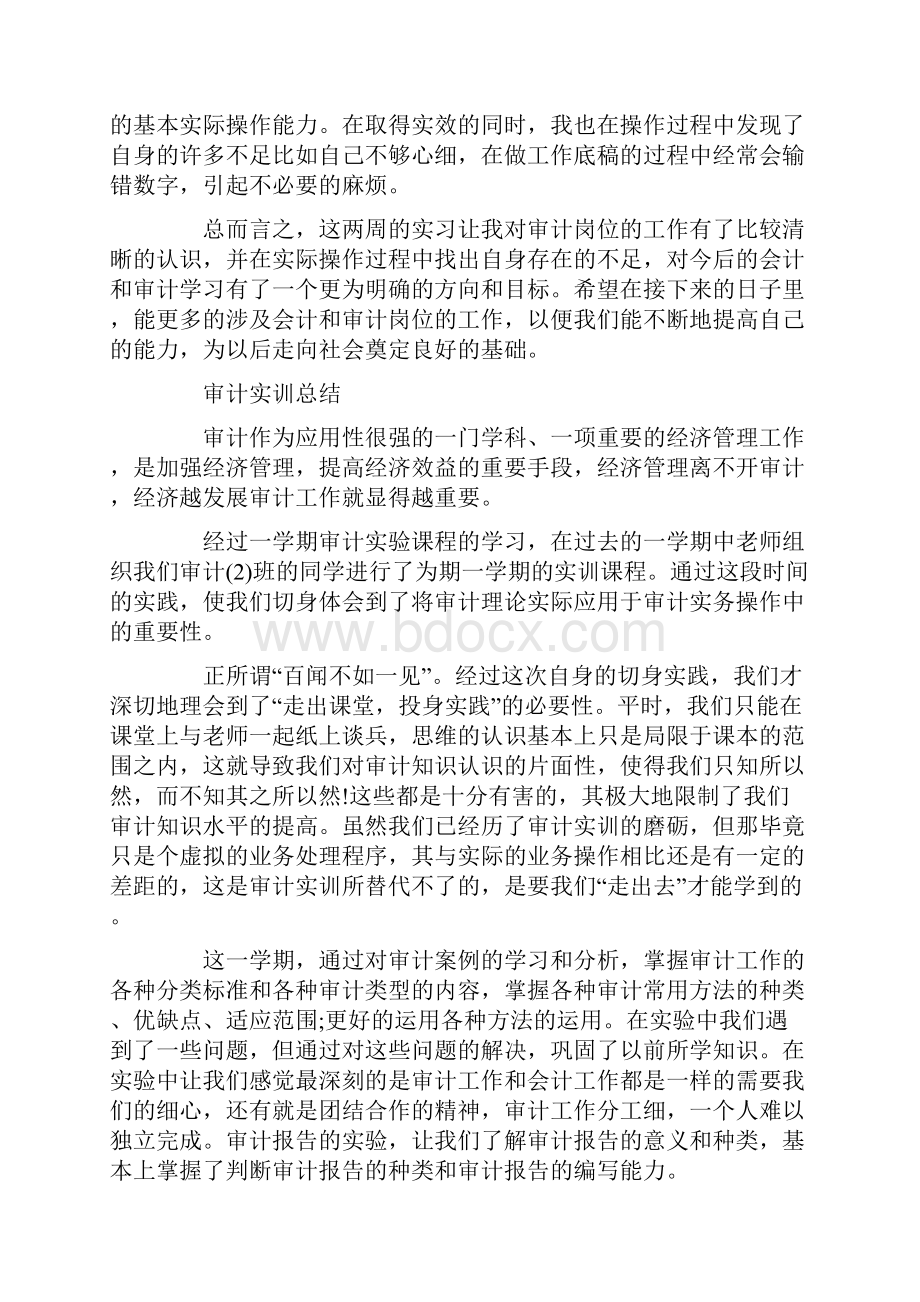 审计实训报告范文精选5篇文档格式.docx_第3页