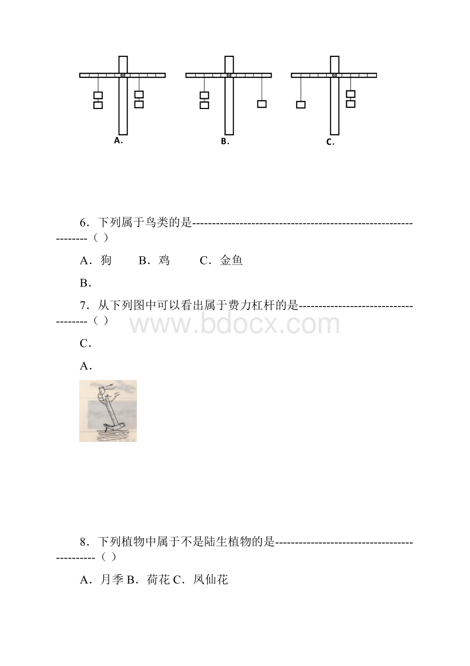 六年级上册期末复习自测评估卷附答案评分标准Word格式文档下载.docx_第3页