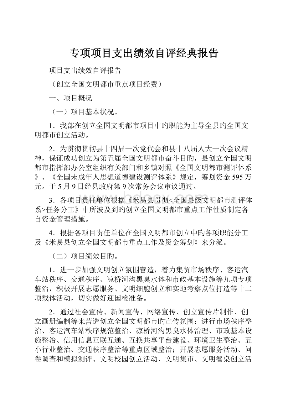 专项项目支出绩效自评经典报告.docx_第1页