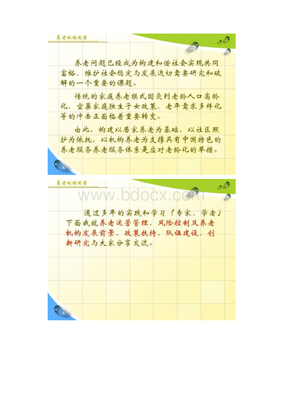 图文养老机构运营Word格式.docx_第2页