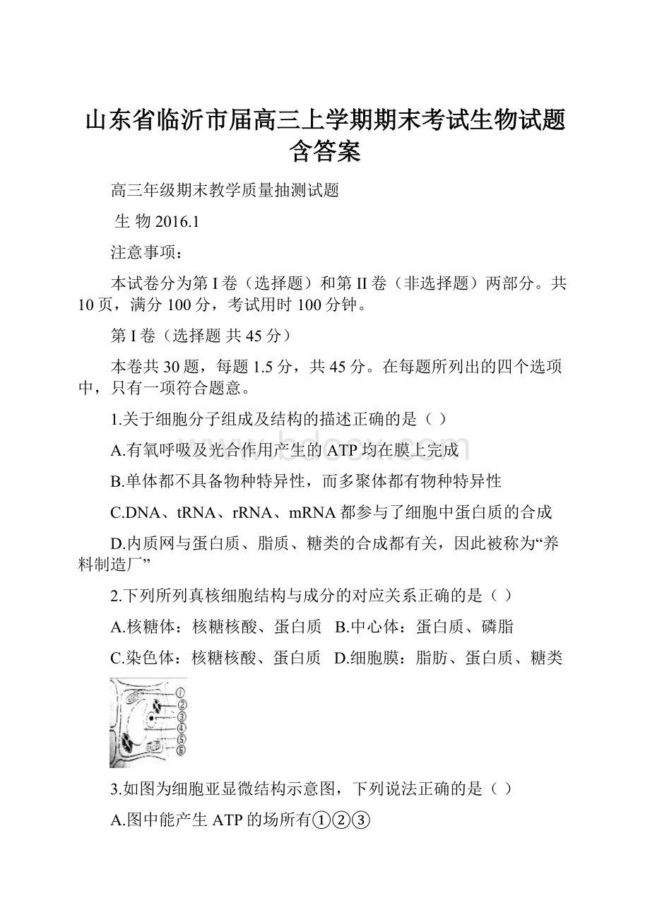 山东省临沂市届高三上学期期末考试生物试题含答案.docx_第1页