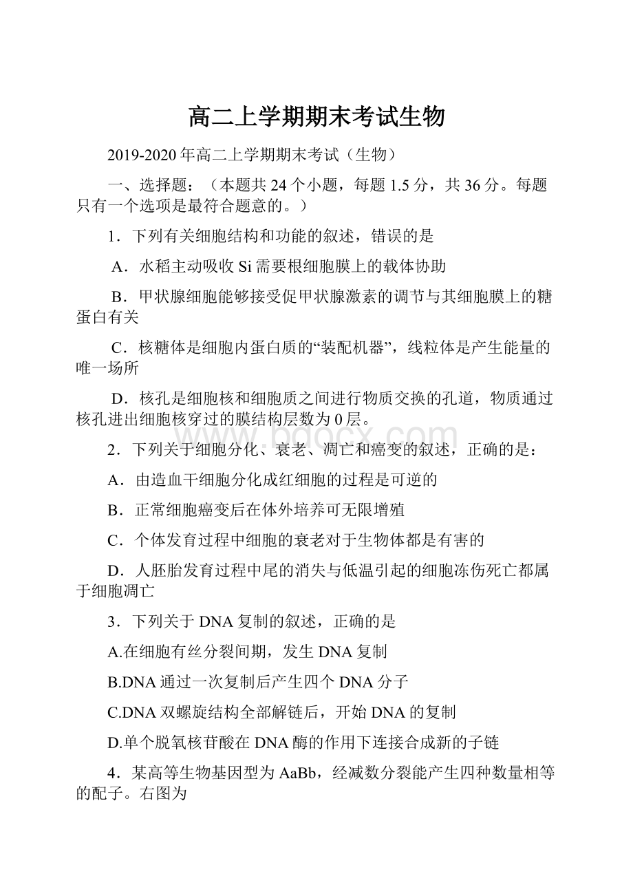 高二上学期期末考试生物Word文档格式.docx_第1页