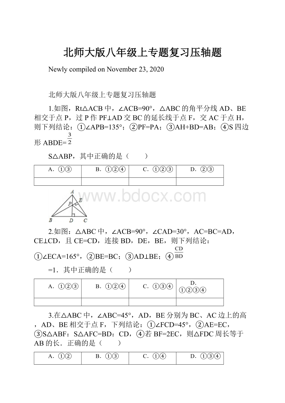 北师大版八年级上专题复习压轴题Word格式.docx_第1页