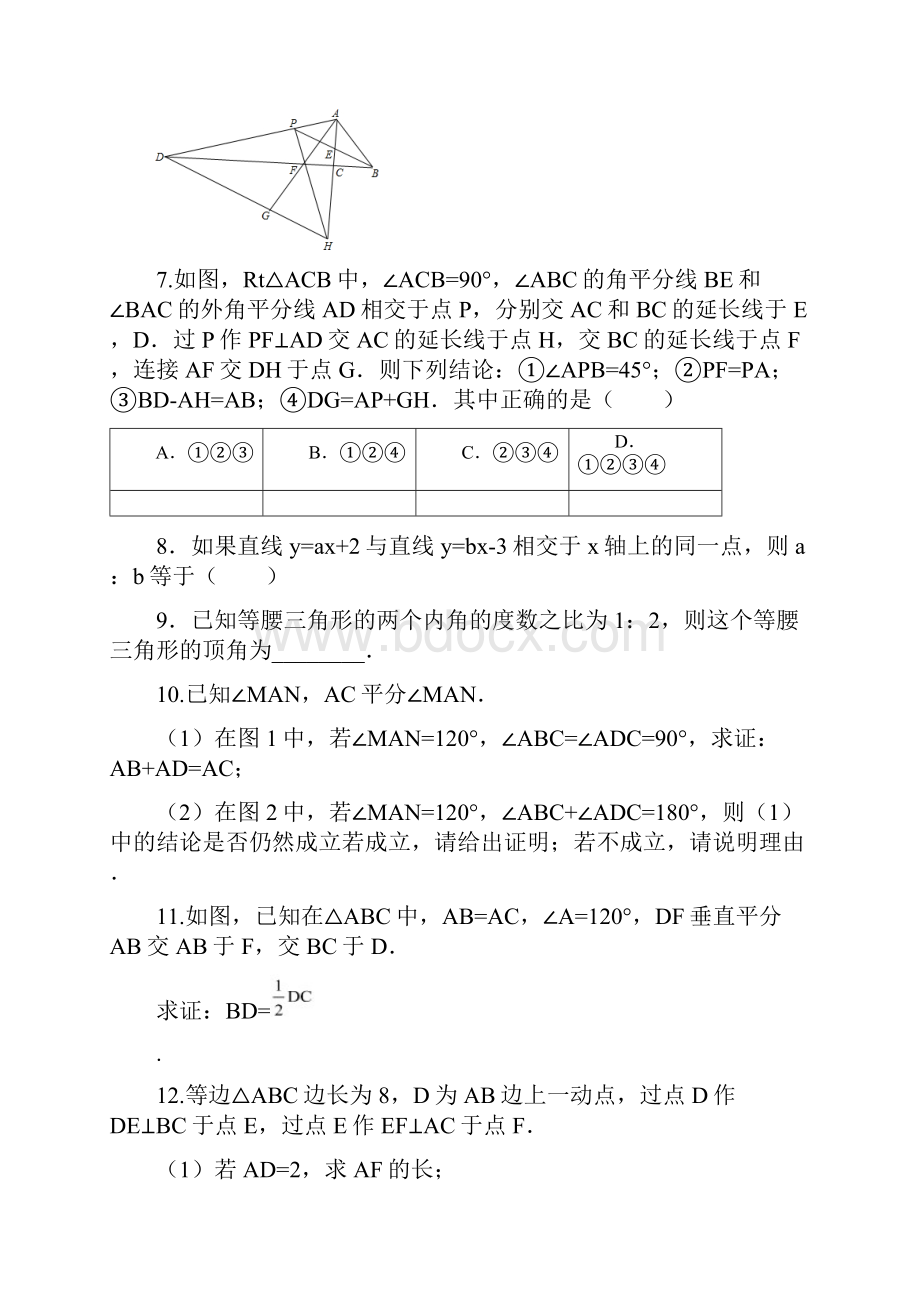 北师大版八年级上专题复习压轴题Word格式.docx_第3页