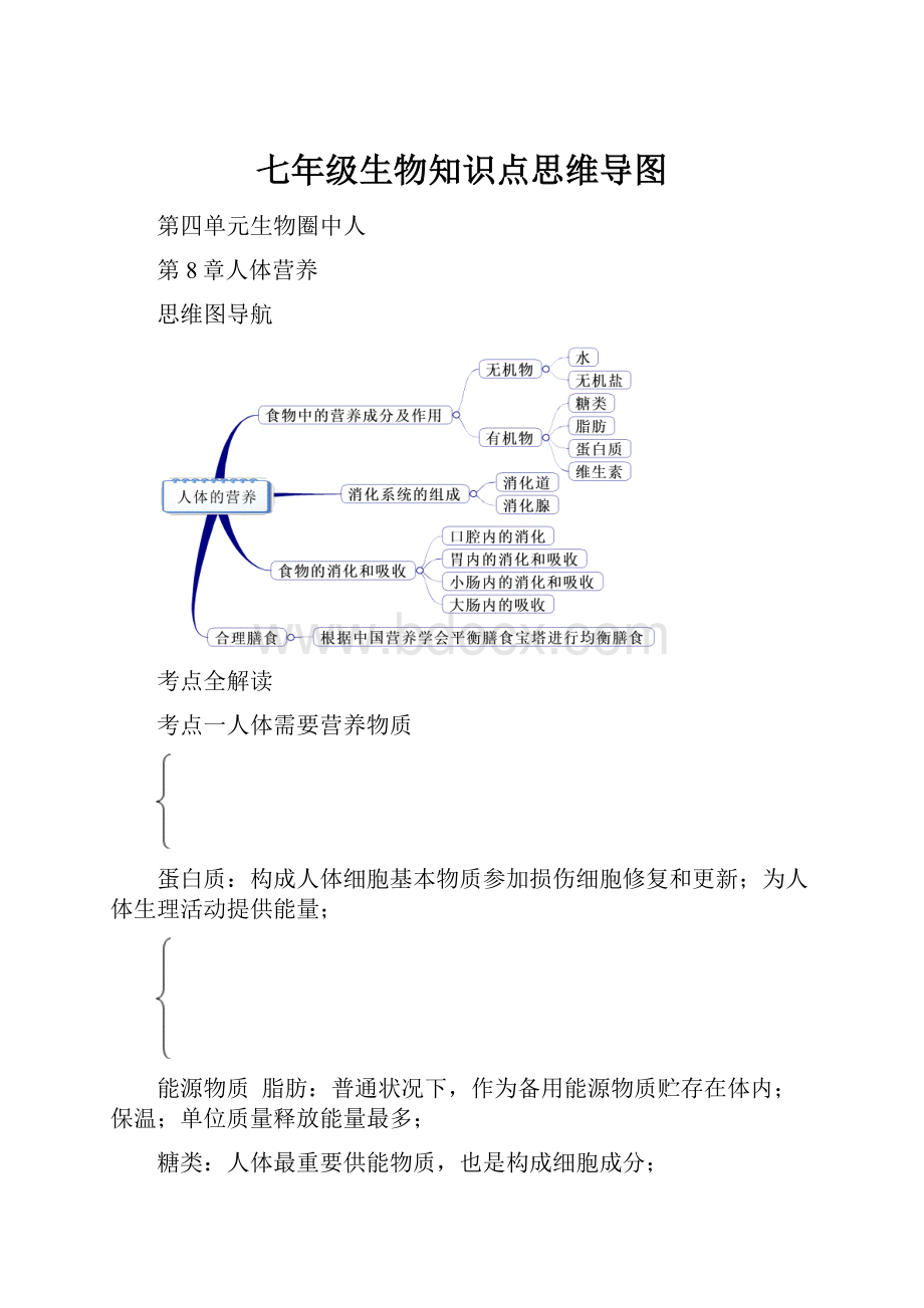 七年级生物知识点思维导图.docx_第1页