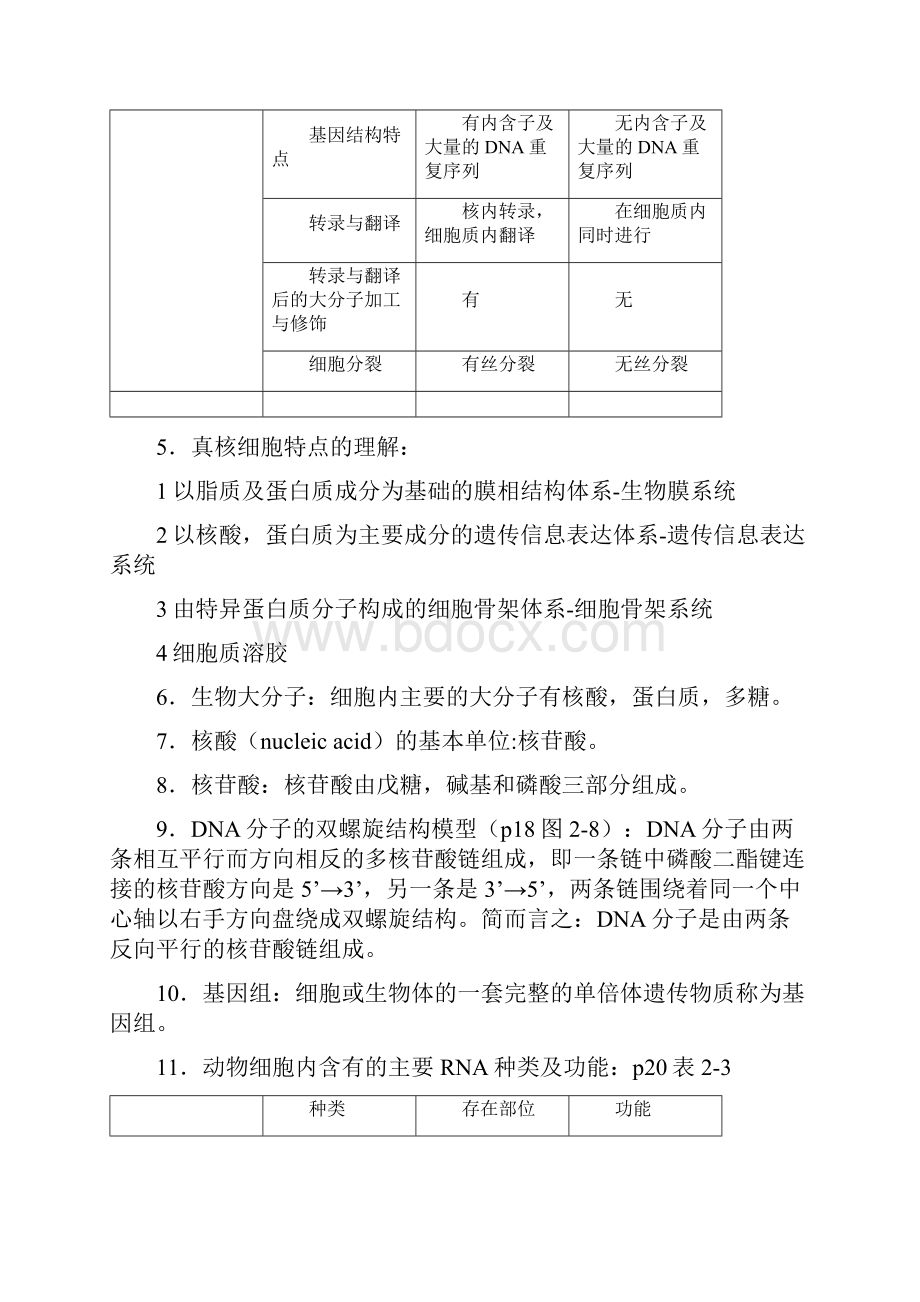 医用细胞生物学知识点完整版Word格式.docx_第3页