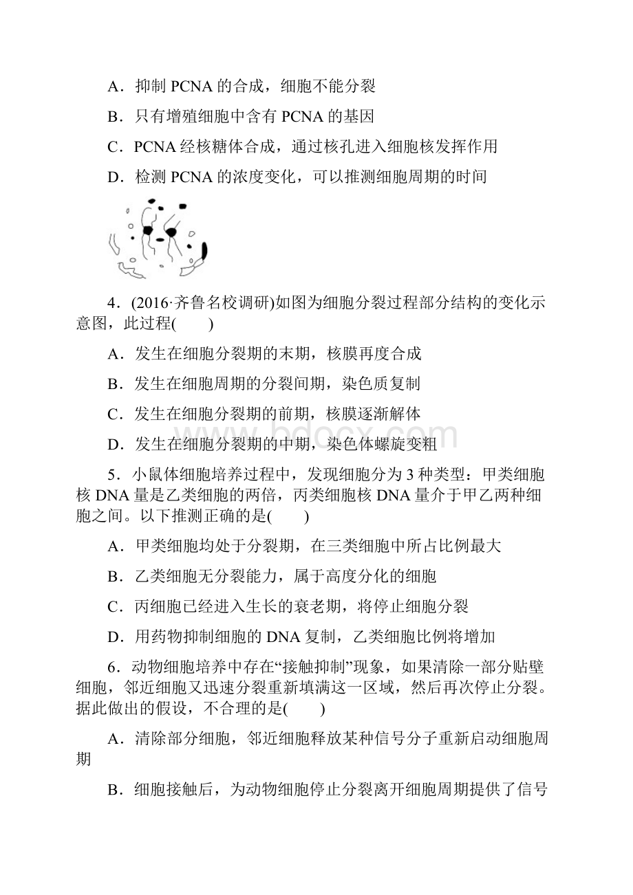 学年四川省乐山沫若中学高一下学期期中考试生物试题Word文档下载推荐.docx_第2页