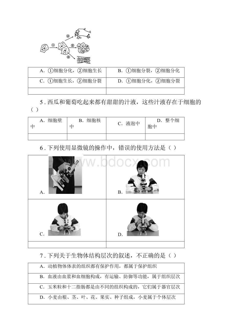 人教版新课程标准版七年级上学期期中生物试题B卷模拟Word格式文档下载.docx_第2页