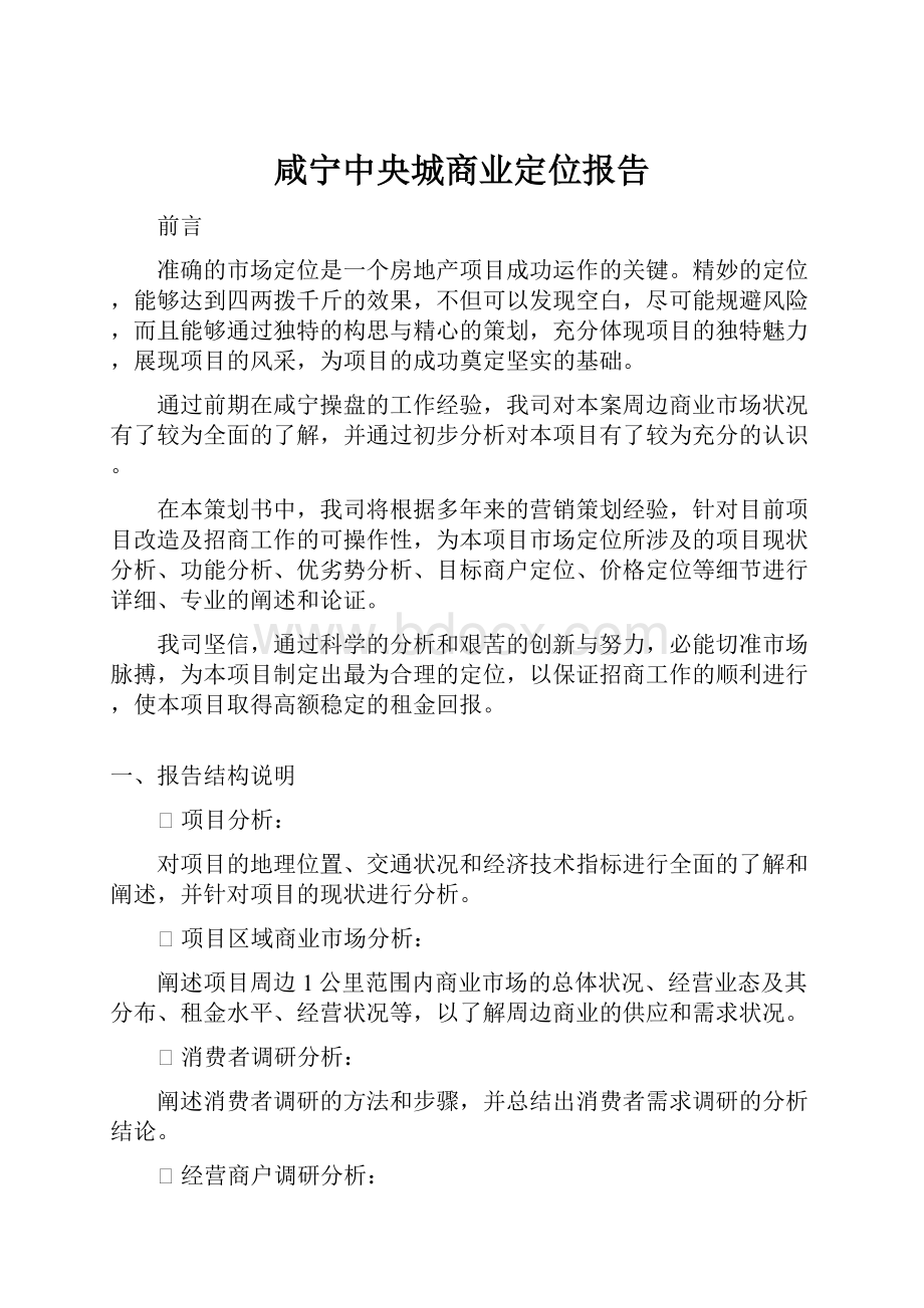 咸宁中央城商业定位报告Word文件下载.docx