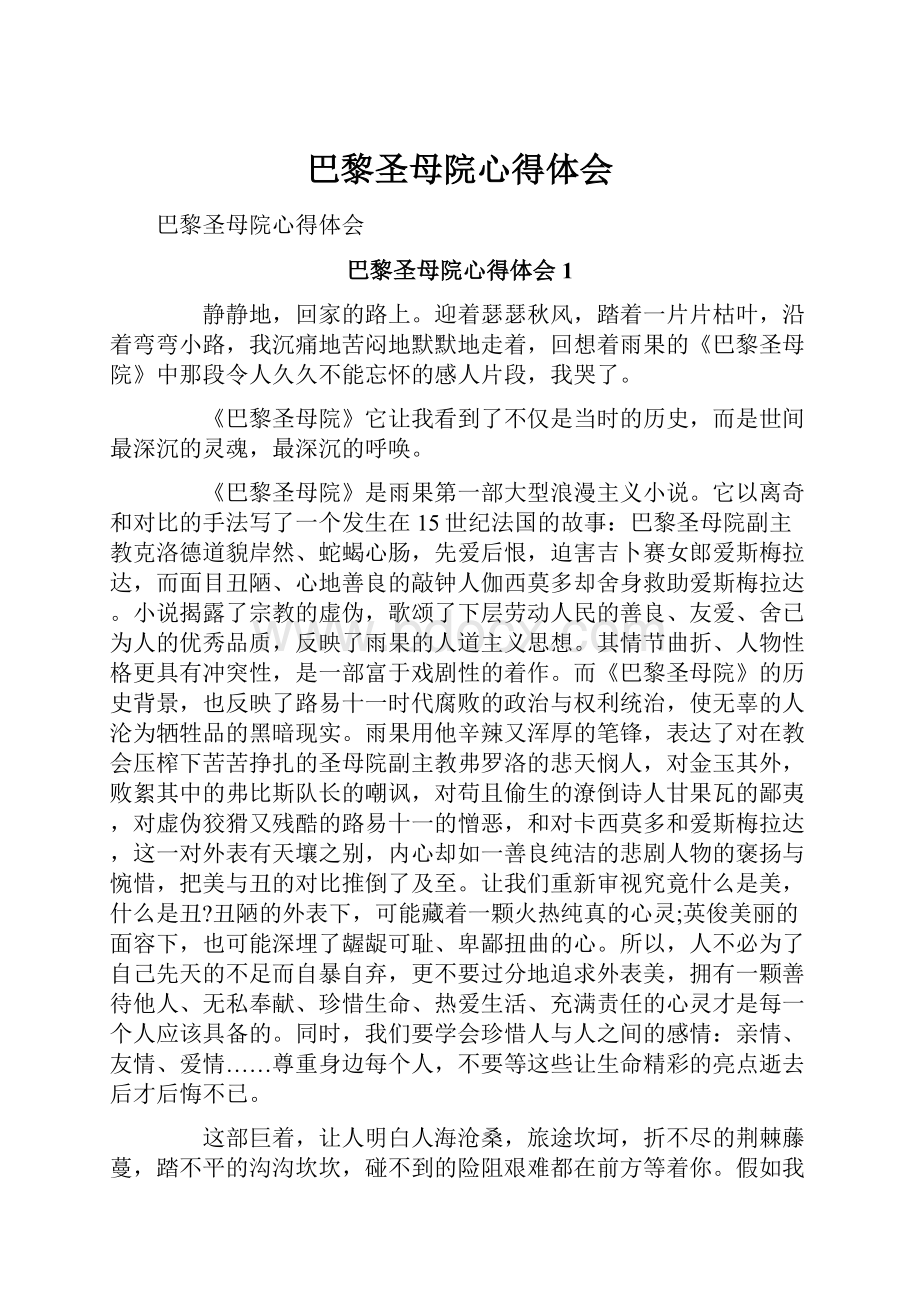 巴黎圣母院心得体会Word文档格式.docx