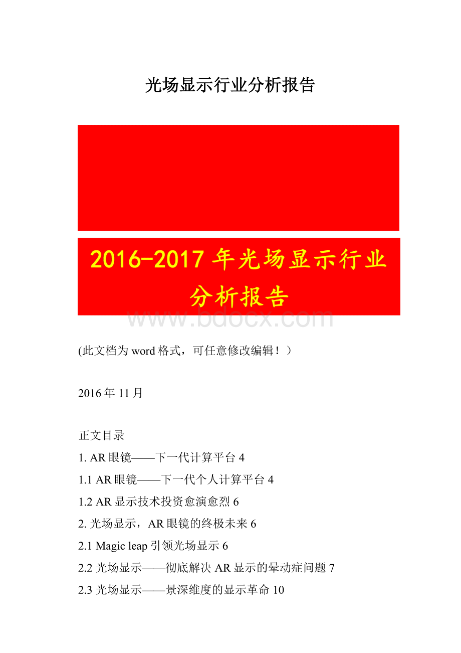 光场显示行业分析报告文档格式.docx