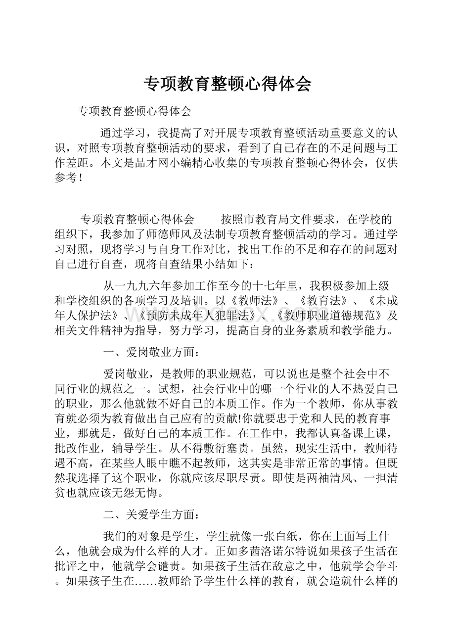 专项教育整顿心得体会Word文档格式.docx