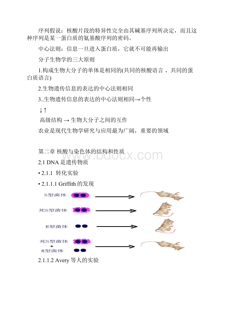 分子生物学笔记.docx_第2页