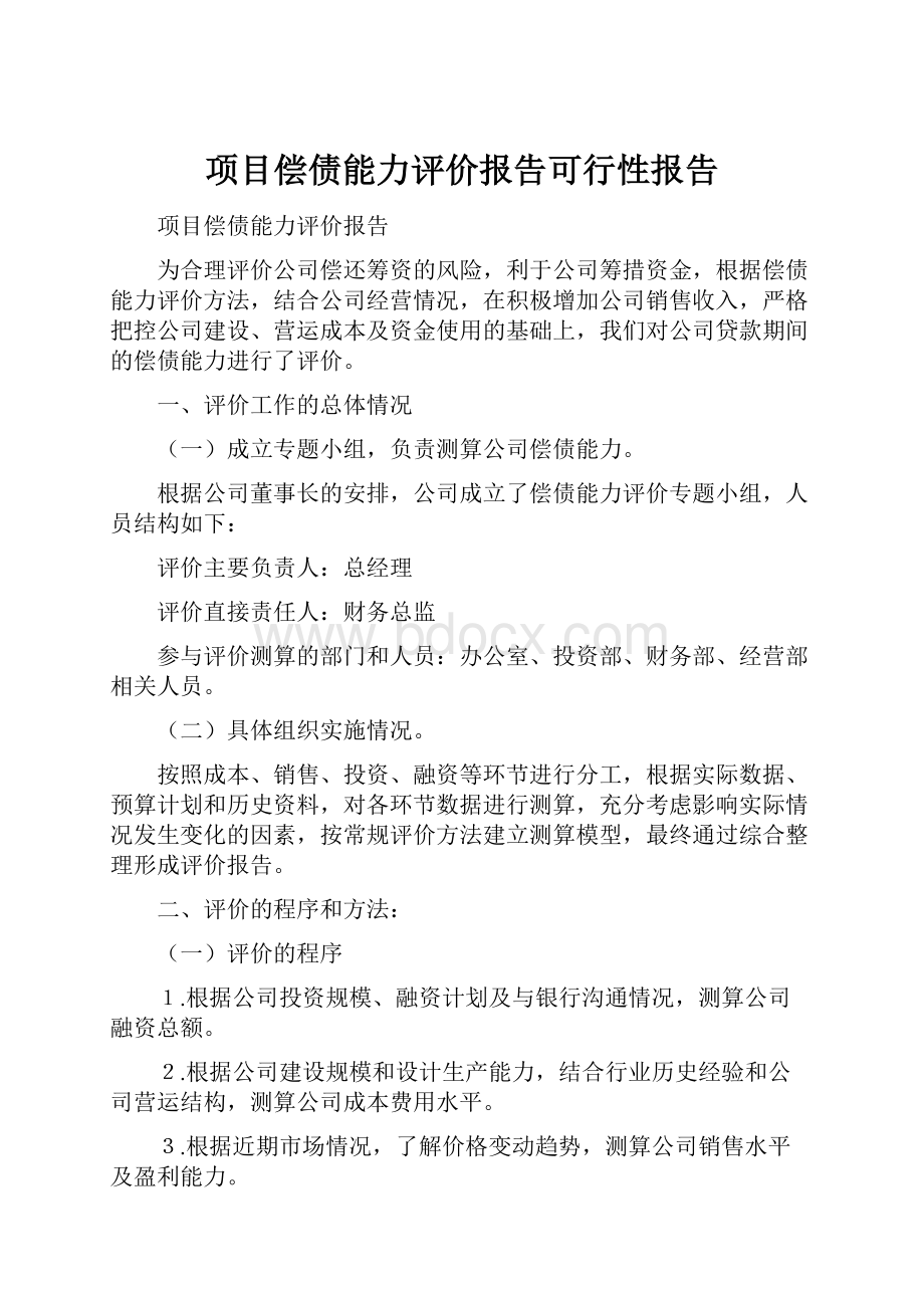 项目偿债能力评价报告可行性报告.docx_第1页