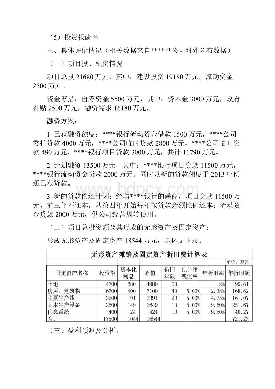 项目偿债能力评价报告可行性报告.docx_第3页