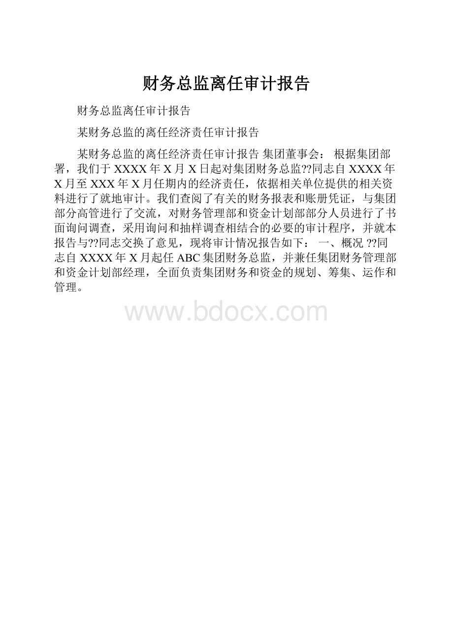 财务总监离任审计报告Word文档下载推荐.docx