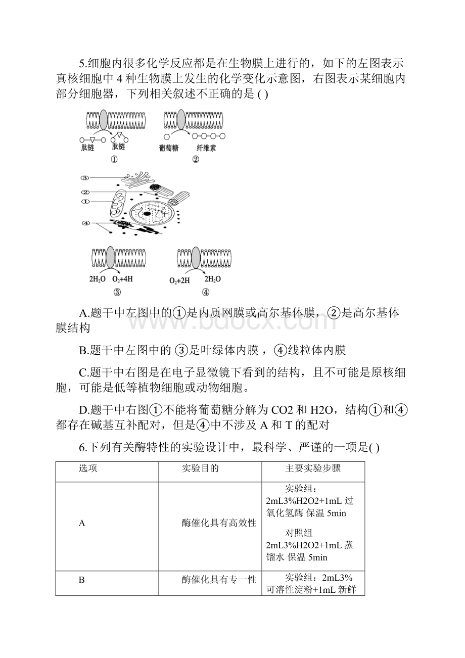 江西省红色六校届高三第一次联考 生物Word格式.docx_第3页