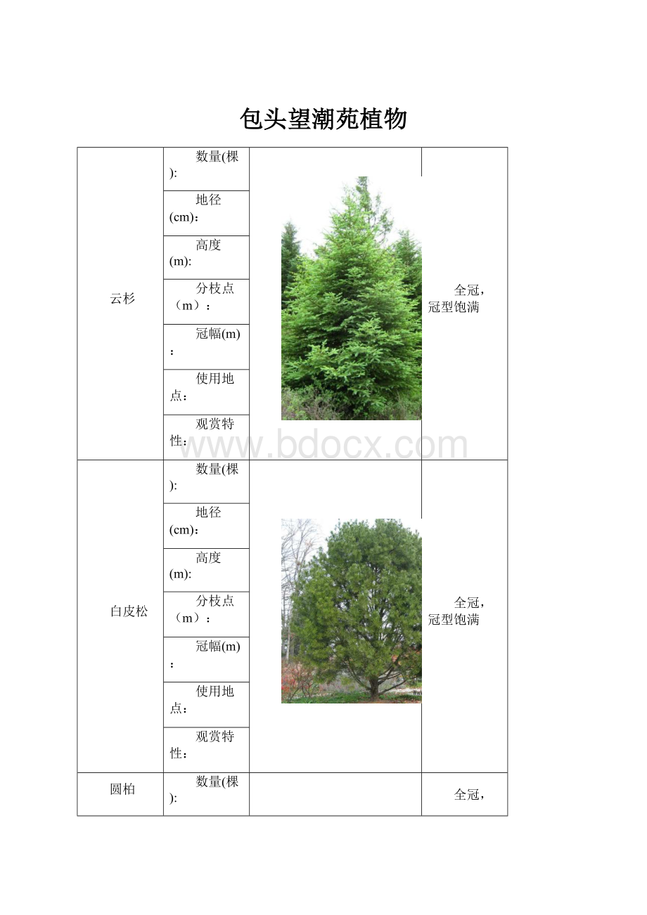 包头望潮苑植物.docx_第1页